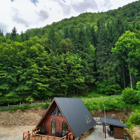 Wild Cabin Malaia Ngoại thất bức ảnh