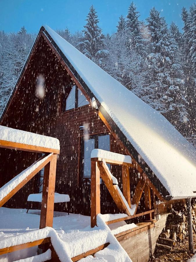Wild Cabin Malaia Ngoại thất bức ảnh