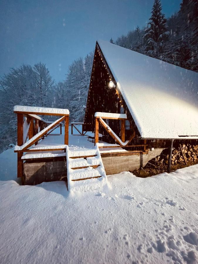 Wild Cabin Malaia Ngoại thất bức ảnh