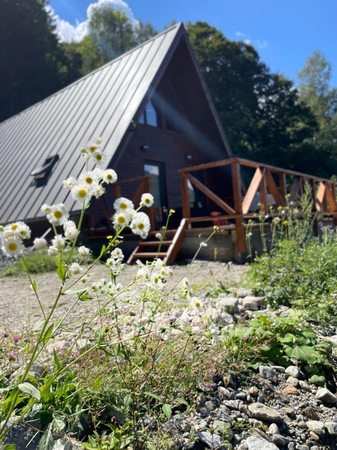 Wild Cabin Malaia Ngoại thất bức ảnh