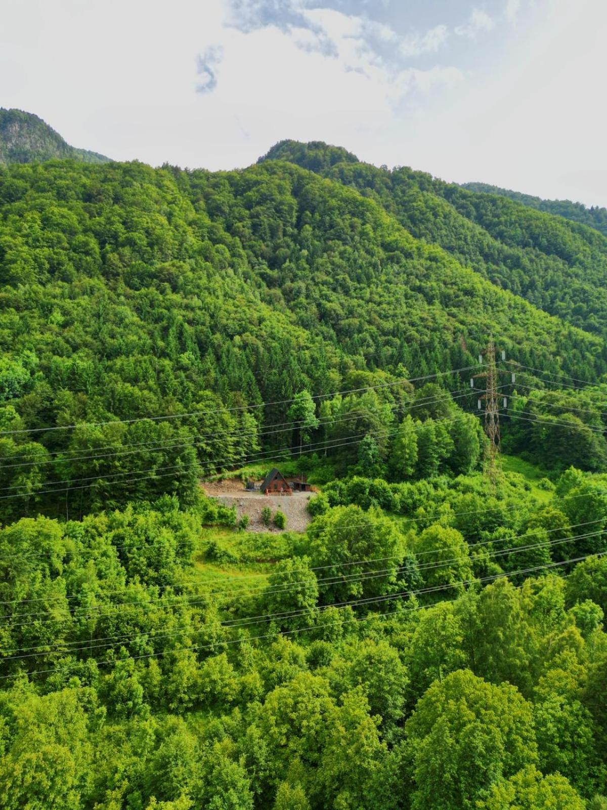 Wild Cabin Malaia Ngoại thất bức ảnh